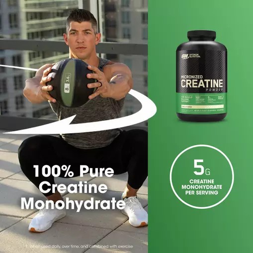 Optimum Nutrition Micronized Creatine Powder Unflavored 1.32 lb (120 Servings) Brasil | WO0795461